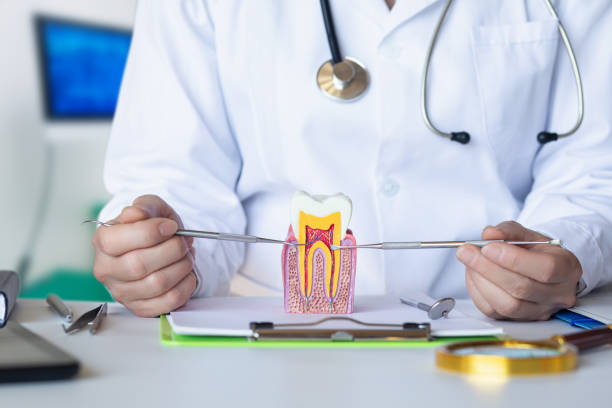 Best Dentist for Tooth Abscess  in North New Hyde Park, NY
